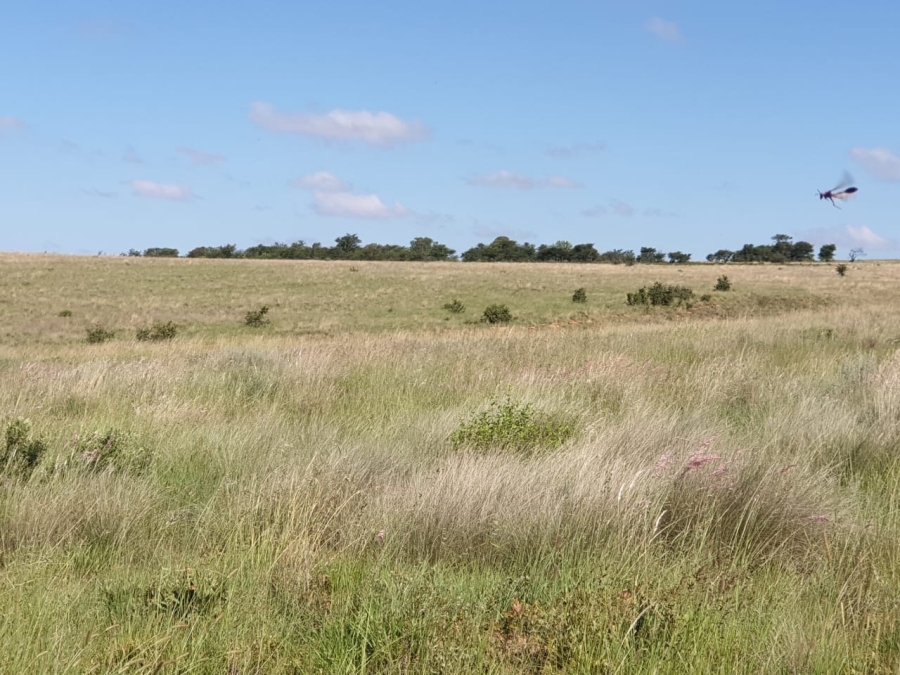 0 Bedroom Property for Sale in Swartruggens North West